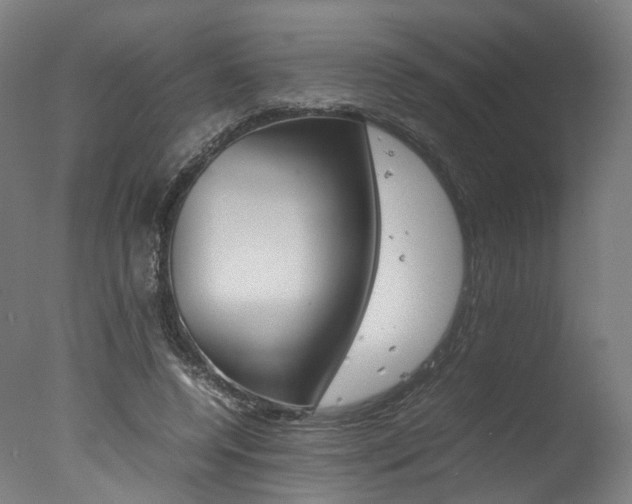 X0000077340544200610200943