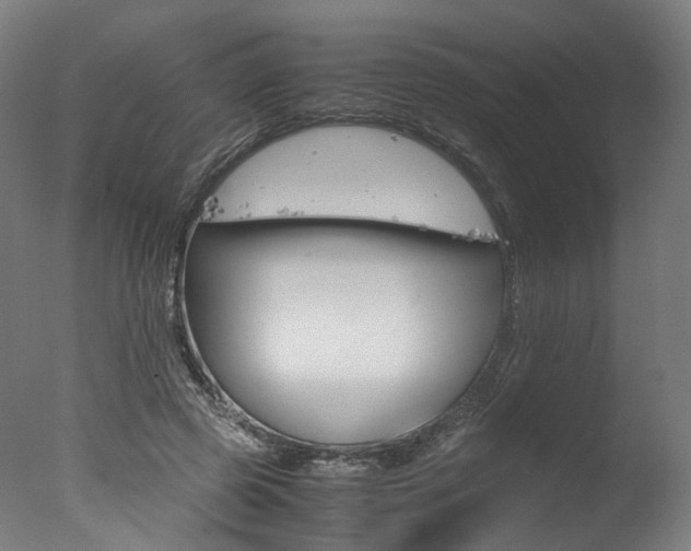 X0000077340545200610200943