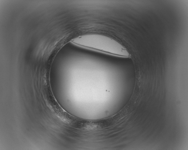 X0000077340547200610200943
