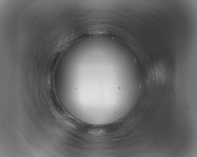 X0000077340551200610200943