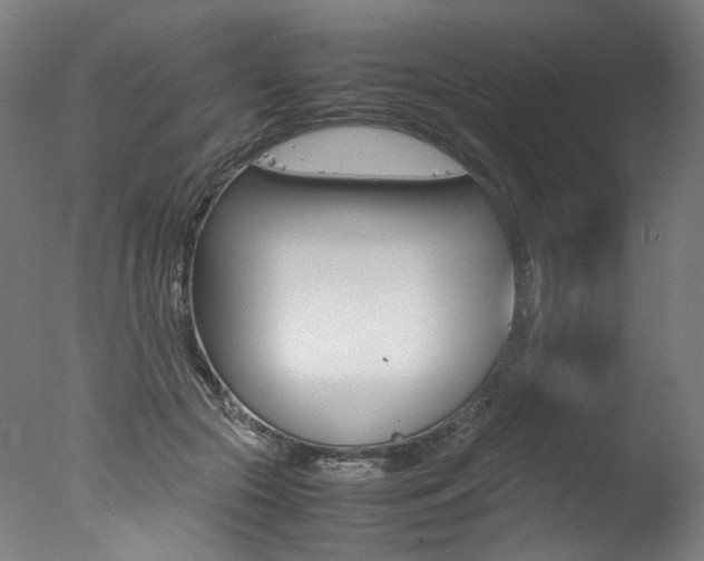 X0000077340553200610200943