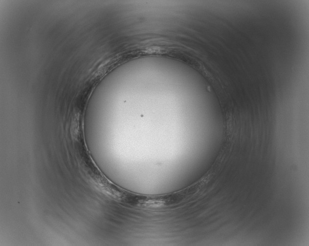 X0000077340554200610200943