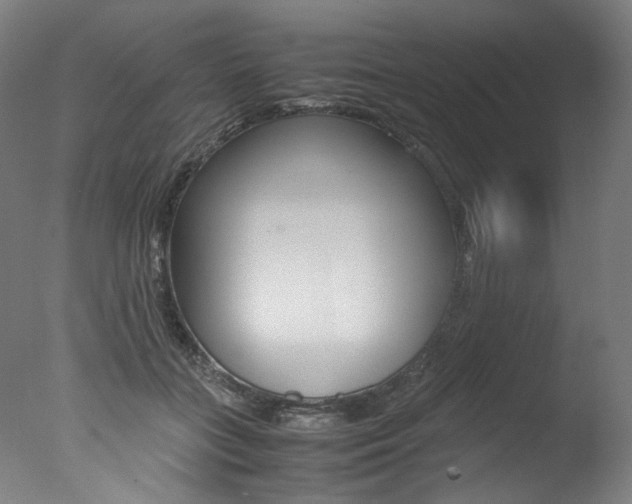 X0000077340555200610200943