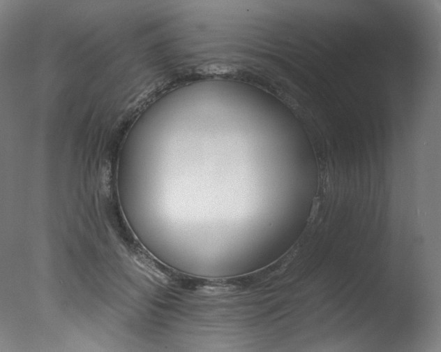 X0000077340556200610200943