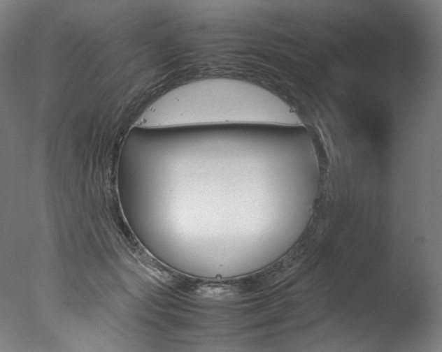 X0000077340557200610200943