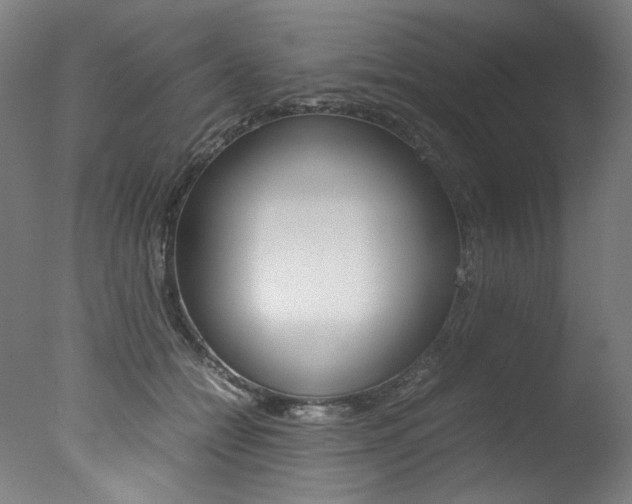 X0000077340558200610200943