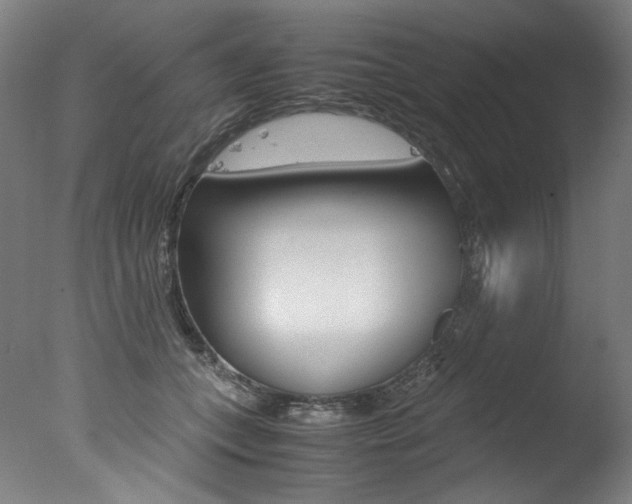 X0000077340559200610200943