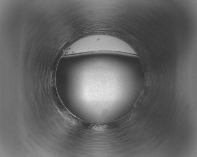 X0000077340560200610200943