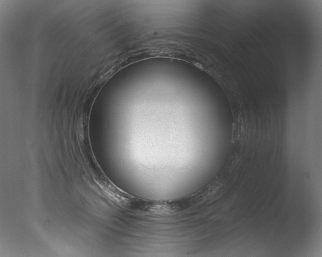 X0000077340562200610200943