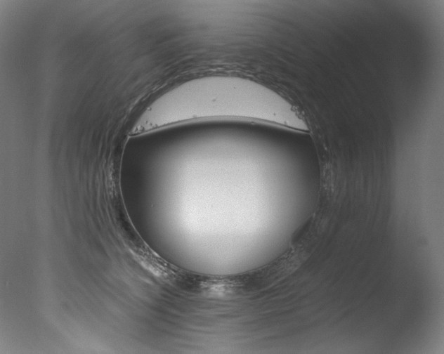 X0000077340564200610200943