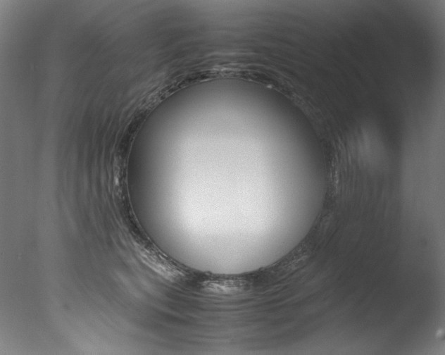X0000077340567200610200944