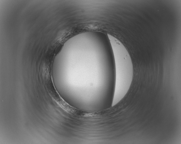 X0000077340568200610200944