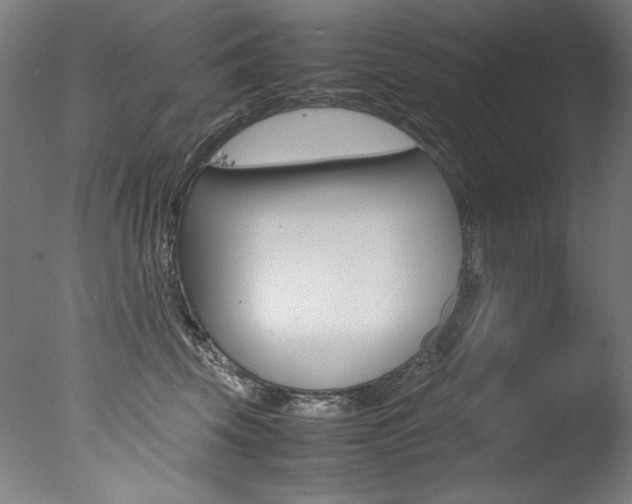 X0000077340569200610200944