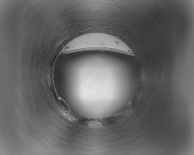 X0000077340572200610200944