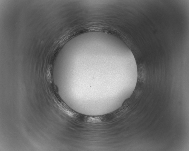 X0000077340573200610200944