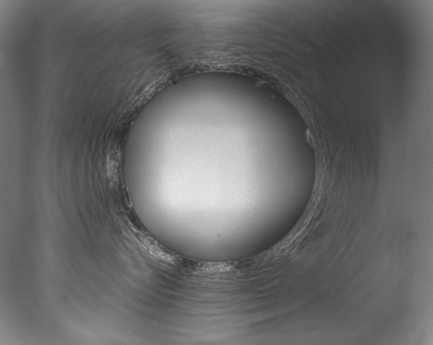 X0000077340576200610200944