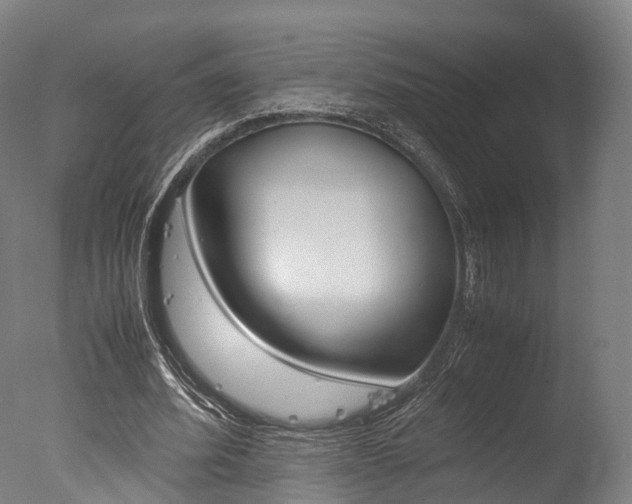 X0000077340580200610200943