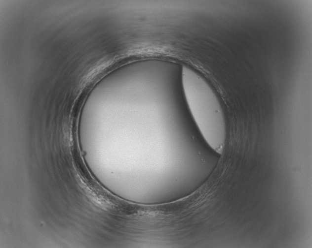 X0000077340582200610200943