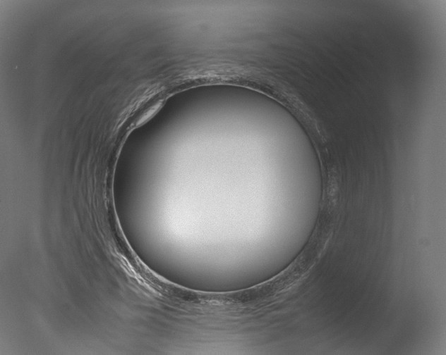 X0000077340585200610200943