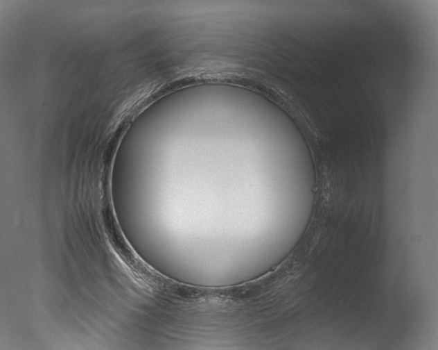 X0000077340586200610200943