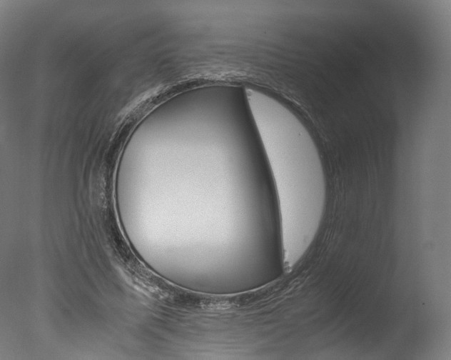 X0000077340587200610200943