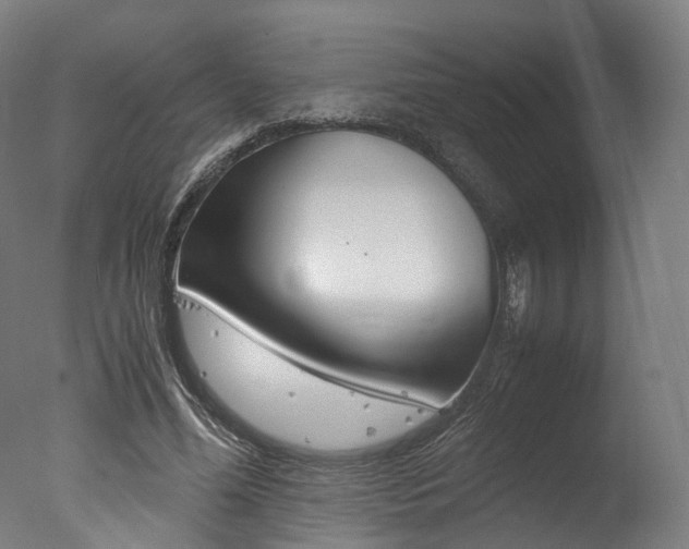 X0000077340588200610200943