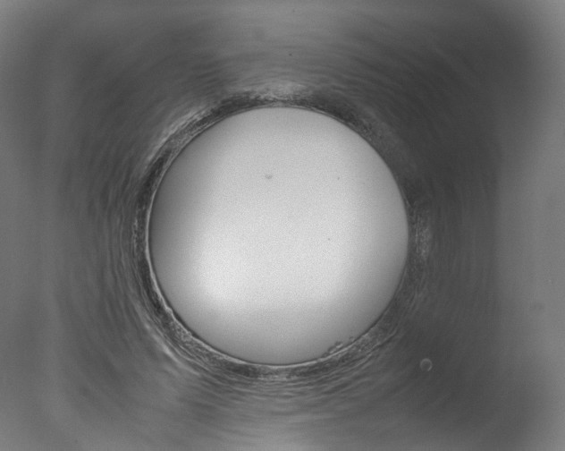 X0000077340591200610200943