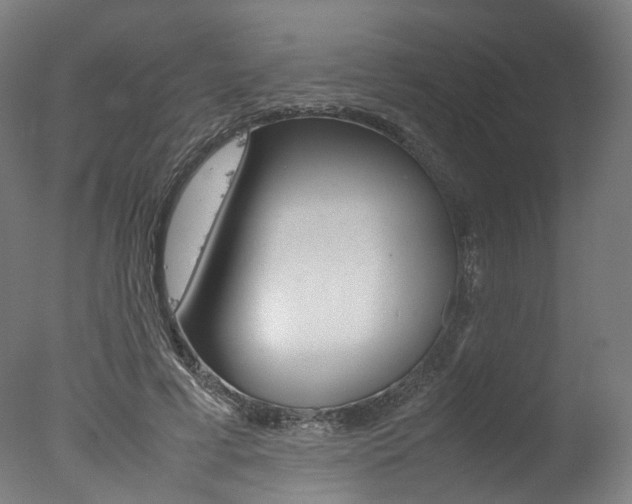 X0000077340593200610200943