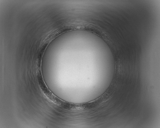 X0000077340594200610200943
