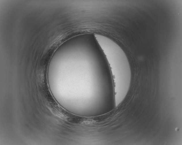 X0000077340595200610200943