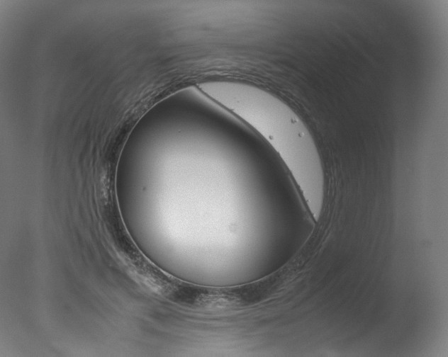 X0000077340597200610200943