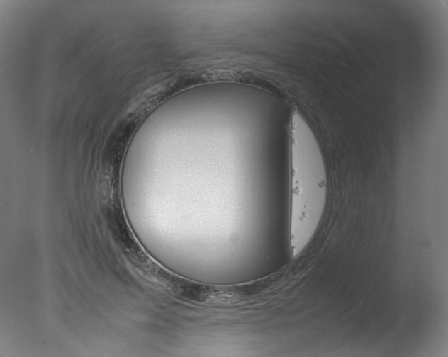 X0000077340599200610200942