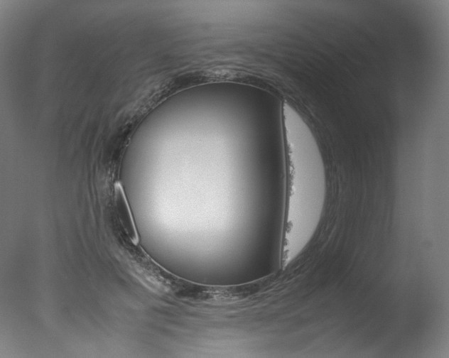 X0000077340601200610200942