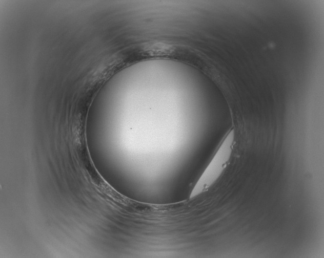 X0000077340604200610200942