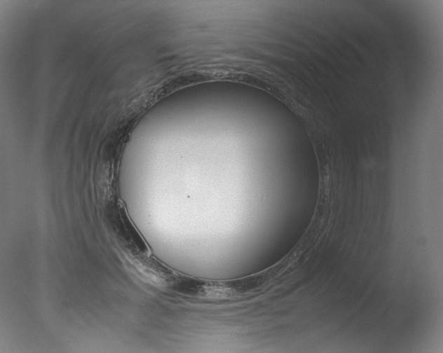 X0000077340605200610200942