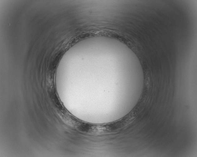 X0000077340607200610200942