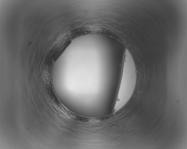 X0000077340609200610200942