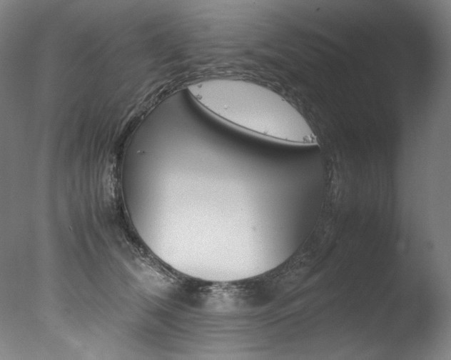 X0000077340612200610200942