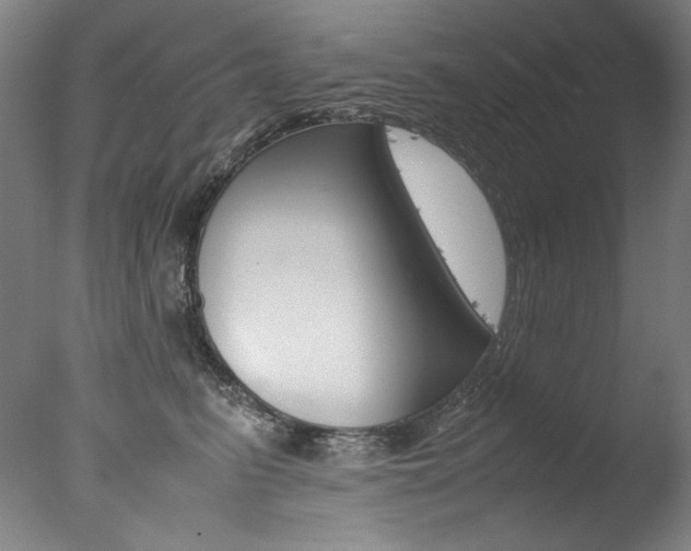 X0000077340615200610200942