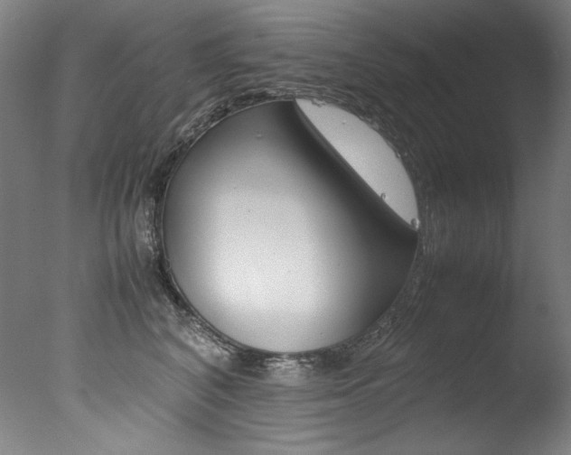 X0000077340616200610200942