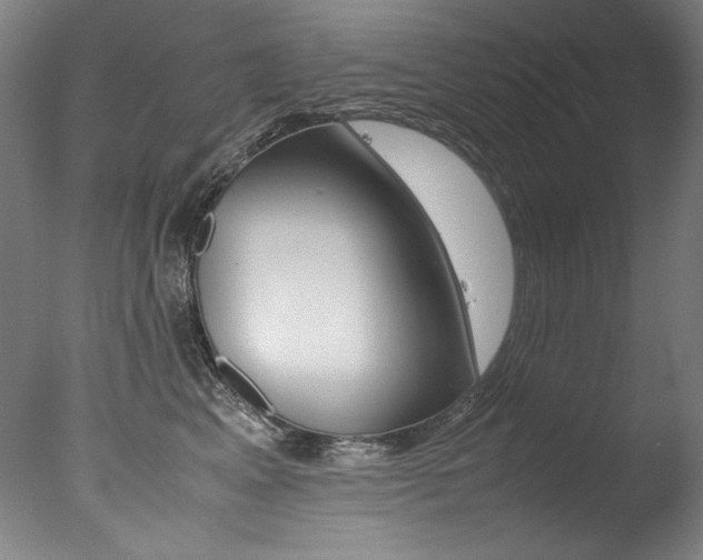 X0000077340617200610200942