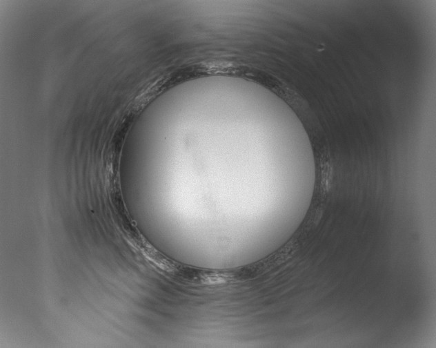 X0000077340618200610200942