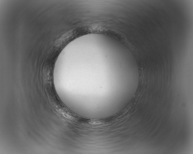X0000077340619200610200942
