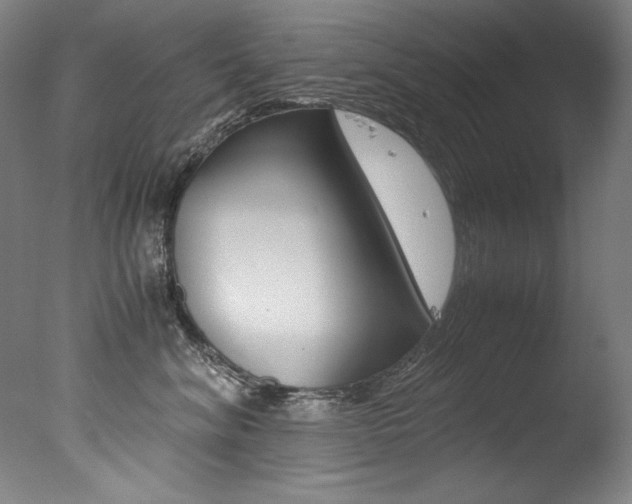 X0000077340620200610200942