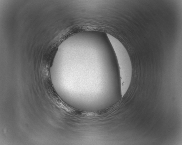 X0000077340621200610200942