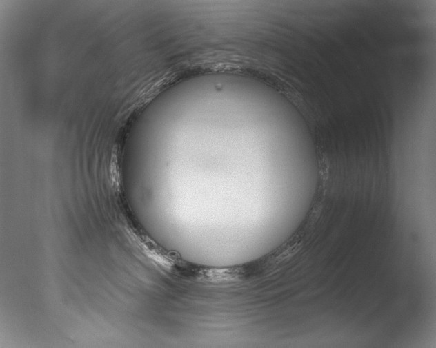 X0000077340622200610200942