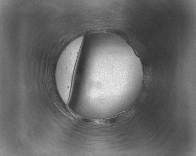 X0000077340623200610200942