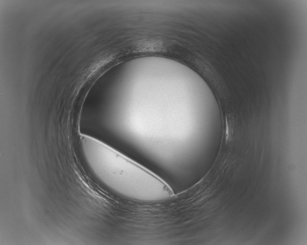 X0000077340627200610200941