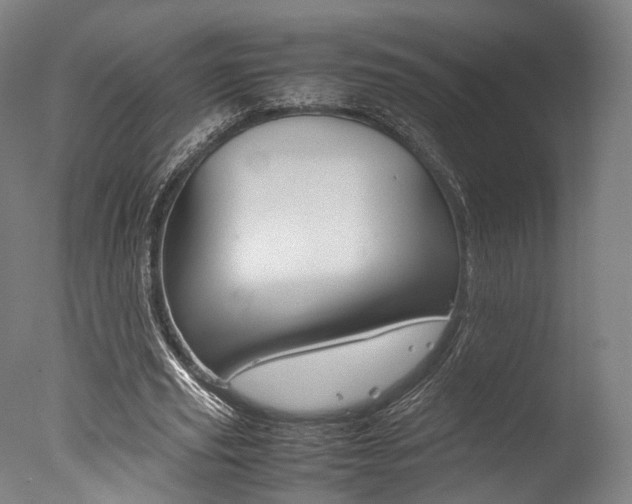 X0000077340629200610200941