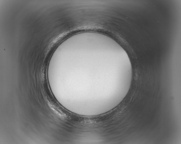 X0000077340632200610200941